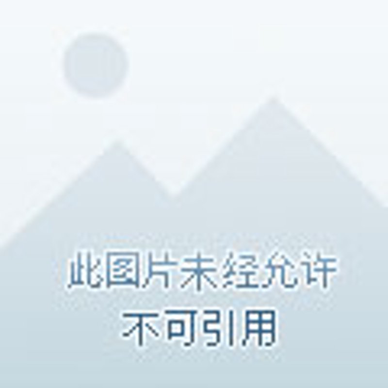 温州展览公司的最新发展动态